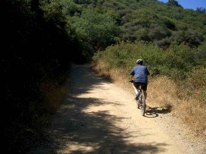 10-los-padres-trail 