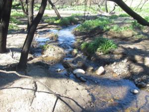 There is still some water flowing in the stream